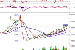 21/09/2021: MÃ TVC VẪN CÓ XU HƯỚNG TĂNG BẤT CHẤP THỊ TRƯỜNG “ĐỎ LỬA”